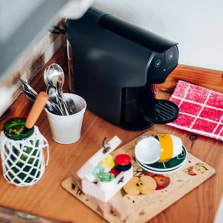 Natura Gospodarstwo agroturystyczne Barreiro (Setubal)