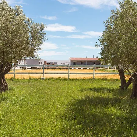 Natura Barreiro (Setubal)