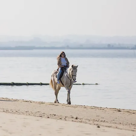 Gospodarstwo agroturystyczne Natura