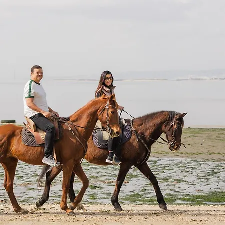Gospodarstwo agroturystyczne Natura